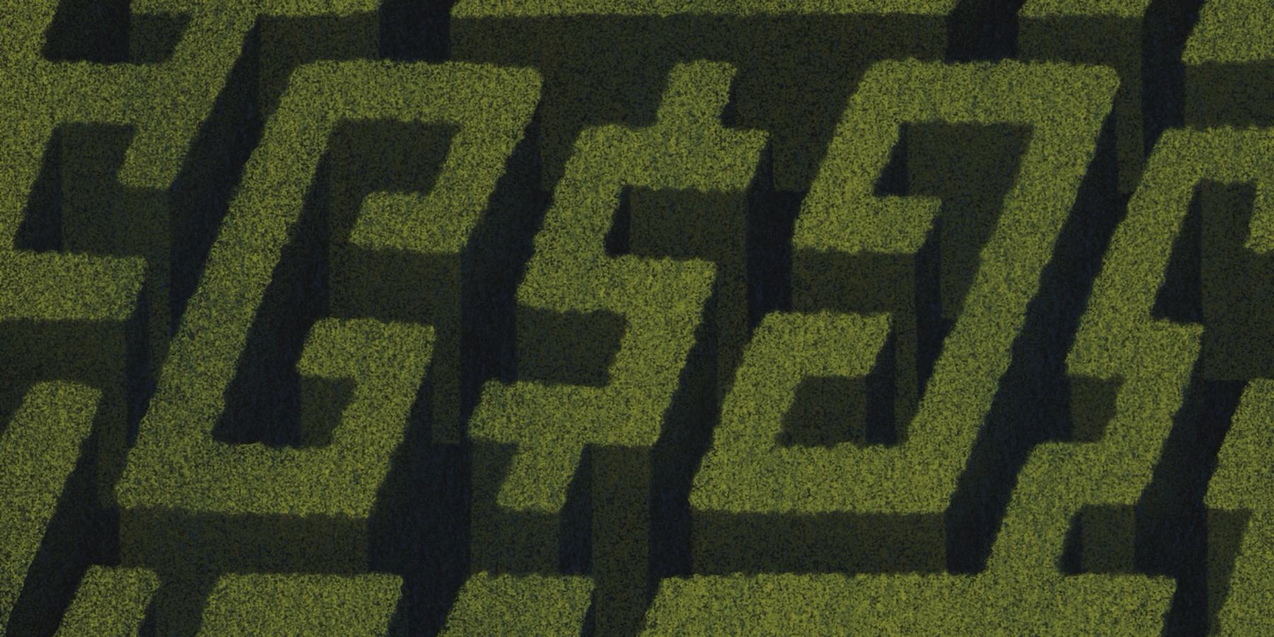 Illustration of a hedge maze, evoking the labyrinth of Canadian healthcare